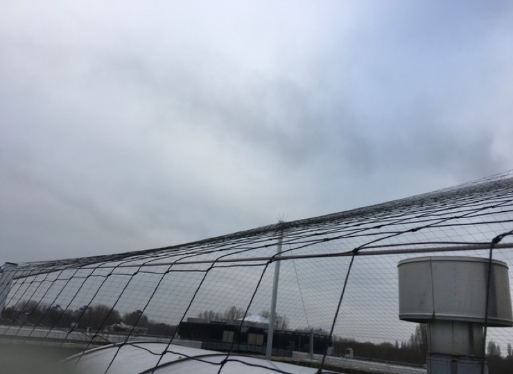 Meeuwennet Kusters Bird Control